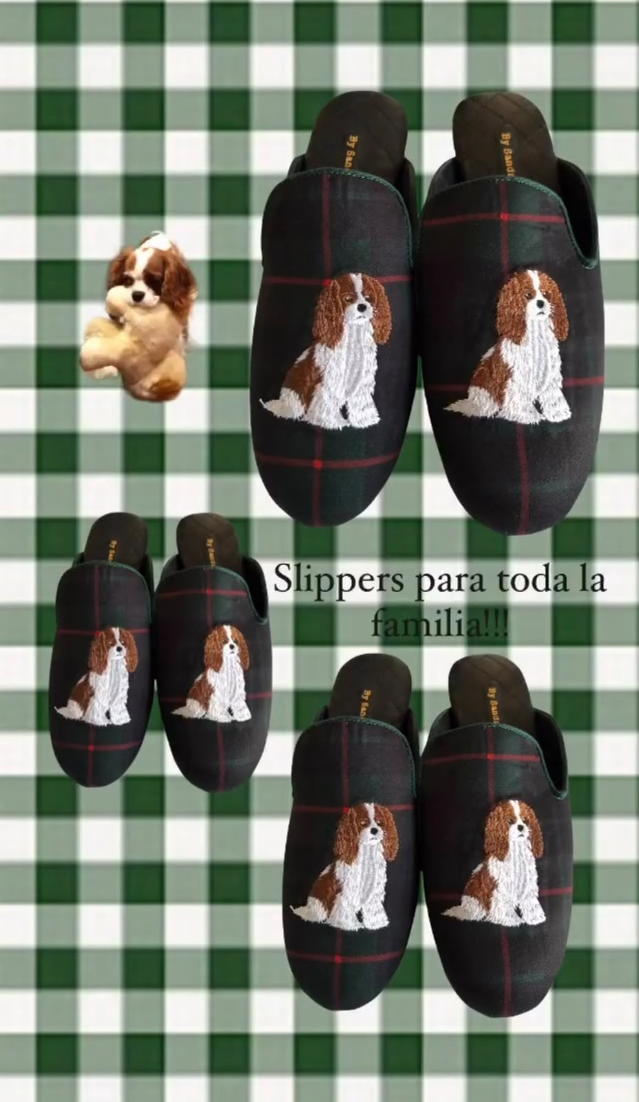 (Pre-Order) Slippers Dogs Personalizadas