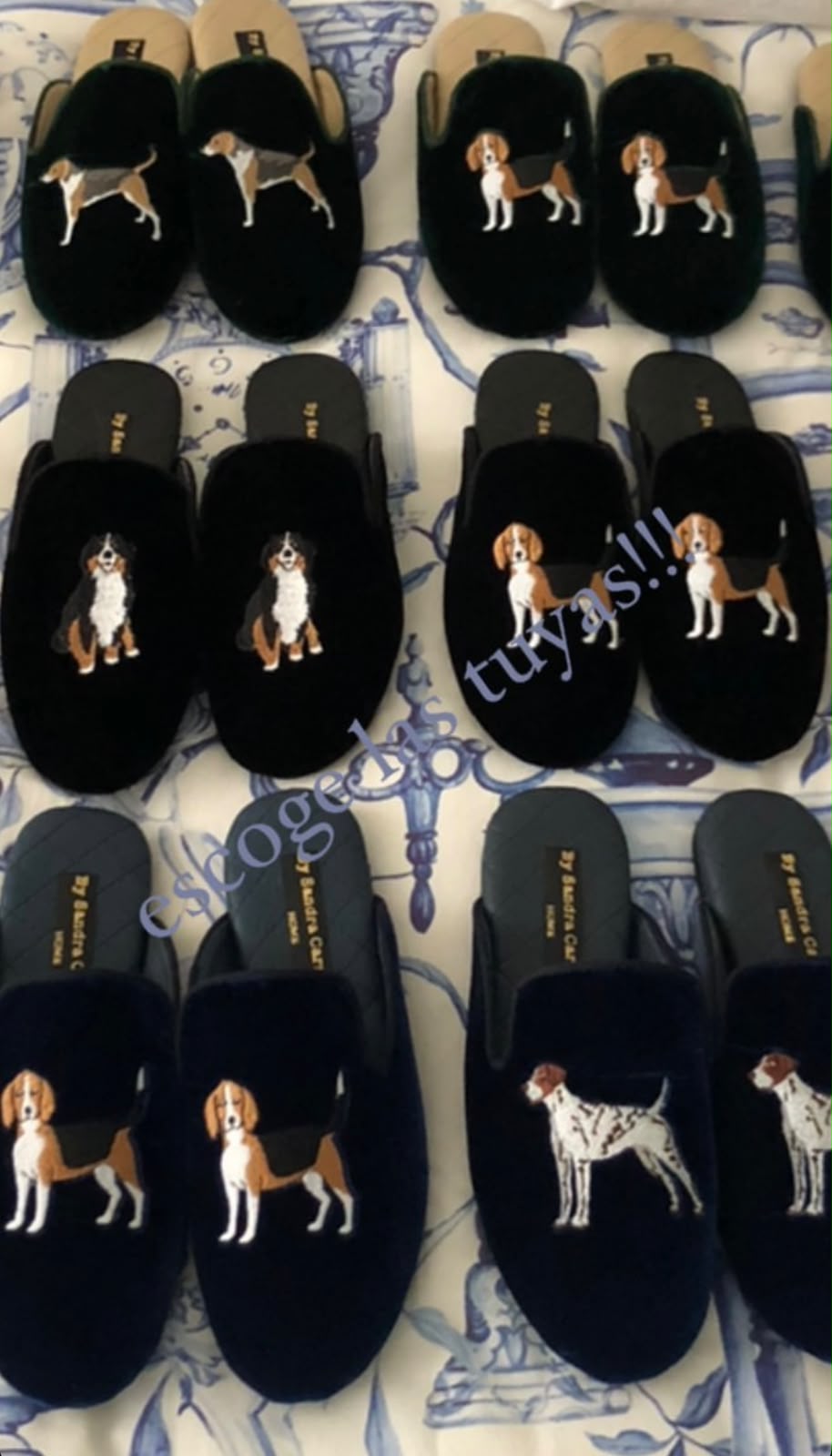 (Pre-Order) Slippers Dogs Personalizadas